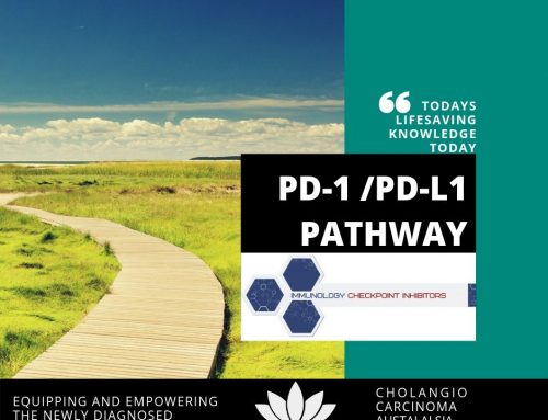 PD-1 / PD-L1 is the Checkpoint Pathway